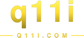 q11i logo